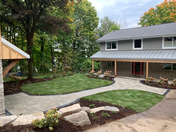 Privacy Screening Plants: Low Maintenance Backyard Solutions